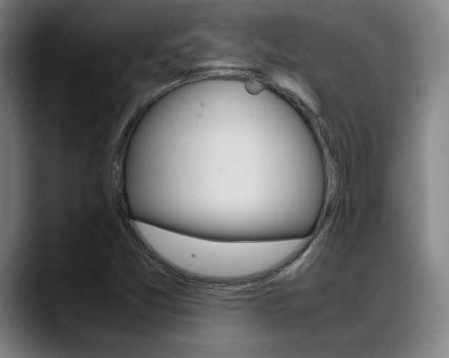 X0000089361357200706150815