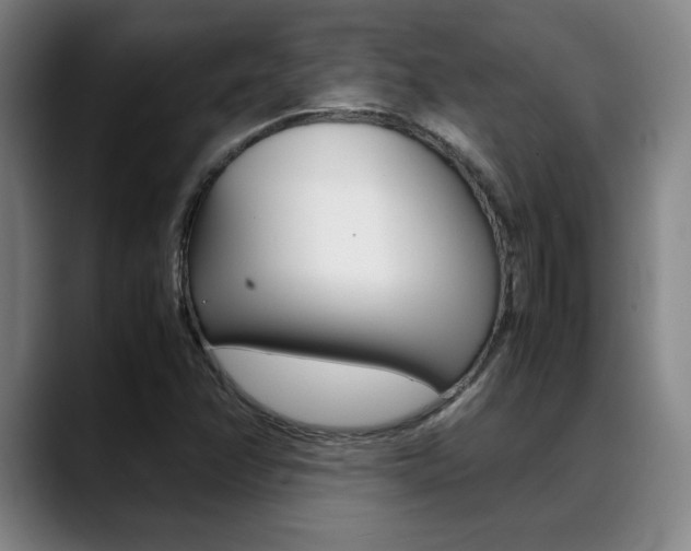 X0000089361358200706150815
