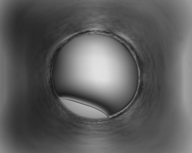 X0000089361359200706150815