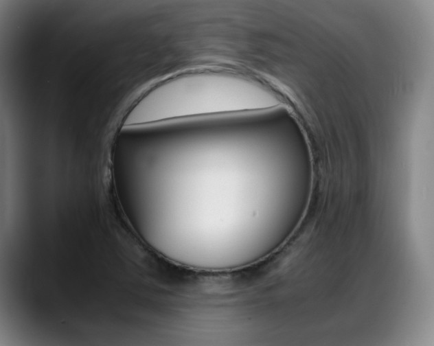 X0000089361363200706150815