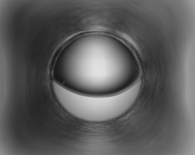 X0000089361364200706150815