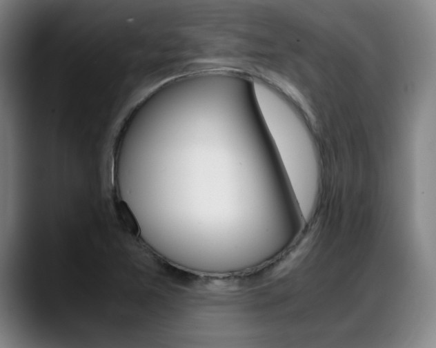 X0000089361365200706150815