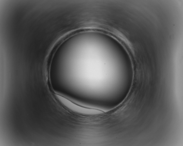 X0000089361368200706150815
