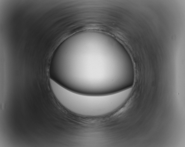 X0000089361369200706150815