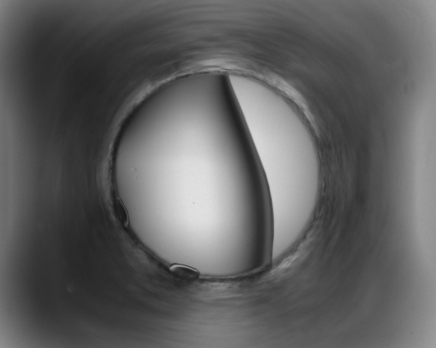 X0000089361373200706150814