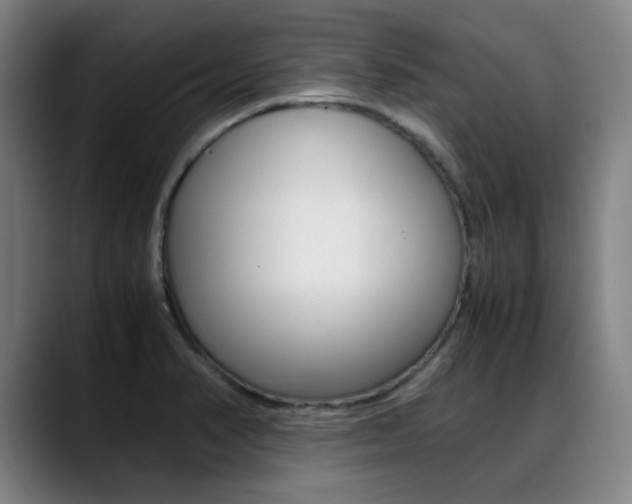 X0000089361374200706150814
