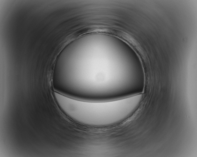 X0000089361377200706150814