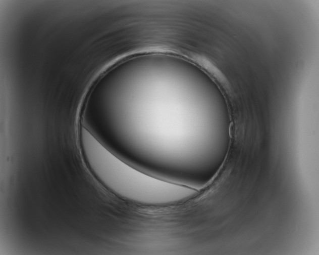 X0000089361380200706150814