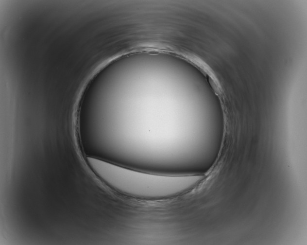 X0000089361381200706150814