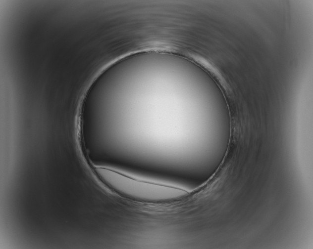 X0000089361383200706150814