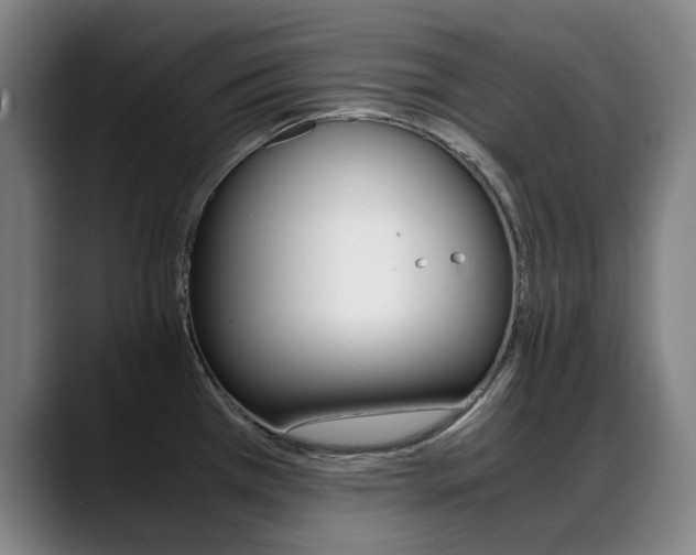 X0000089361385200706150814