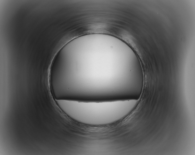 X0000089361386200706150814