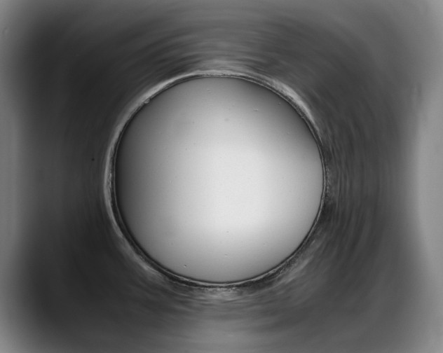 X0000089361387200706150814