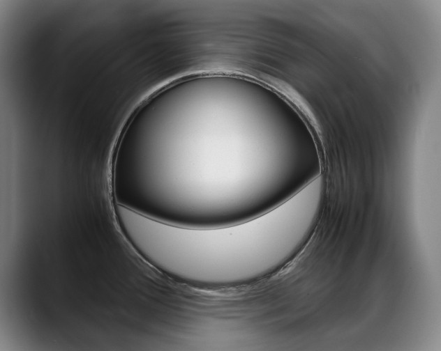 X0000089361388200706150814