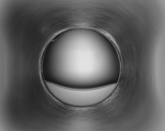 X0000089361389200706150814