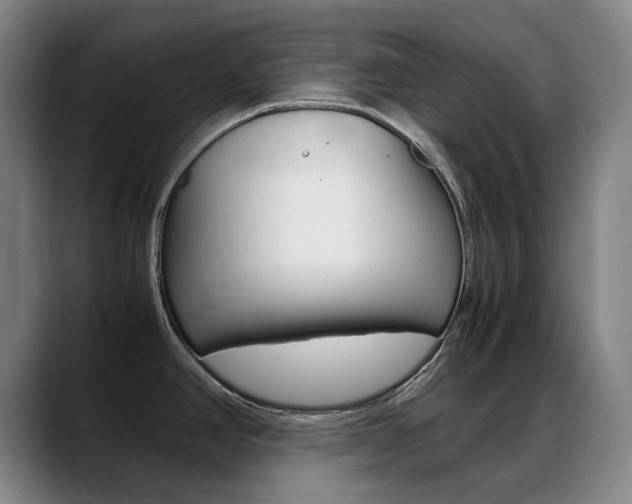 X0000089361390200706150814