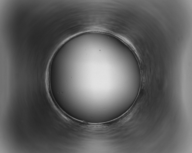 X0000089361391200706150814