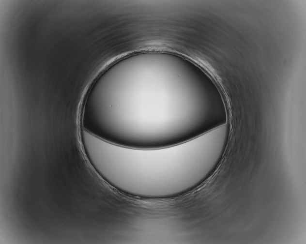 X0000089361392200706150814