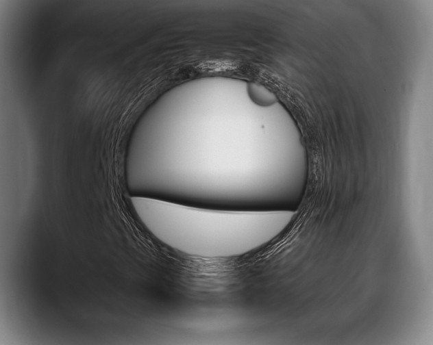 X0000089361393200706150814