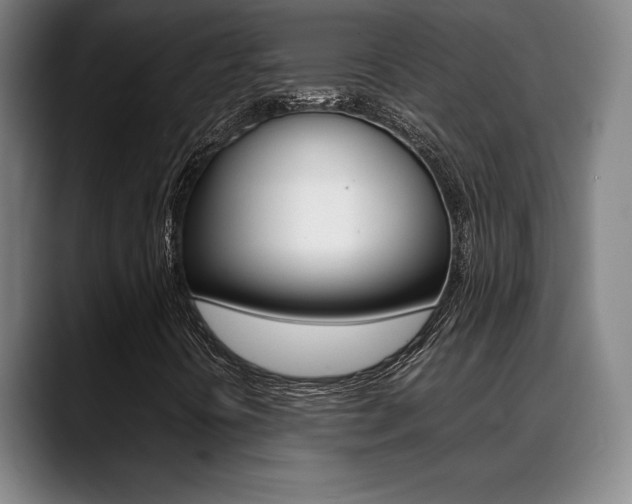 X0000089361394200706150814
