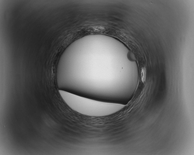 X0000089361395200706150814