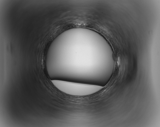 X0000089361396200706150814