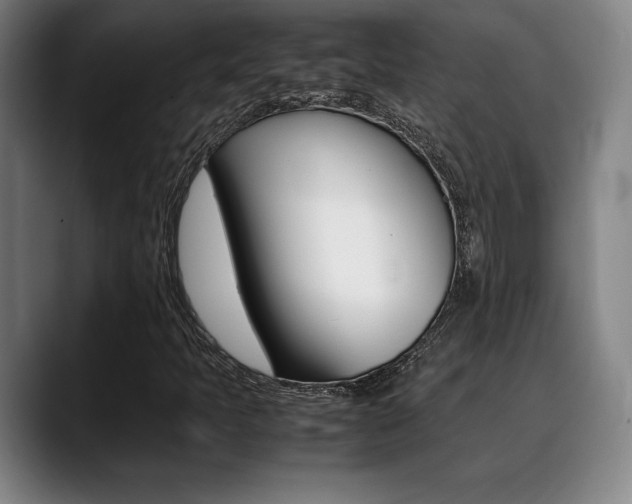 X0000089361397200706150814