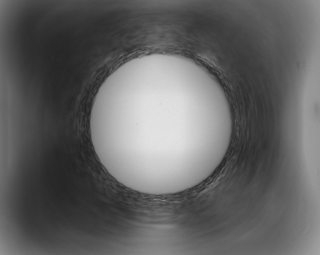 X0000089361398200706150814
