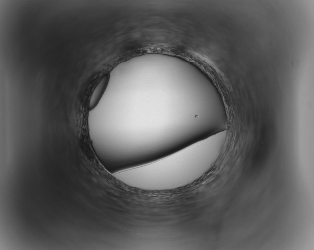 X0000089361399200706150814