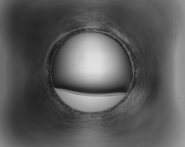 X0000089361400200706150814