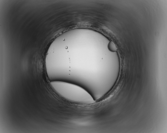 X0000089361401200706150814