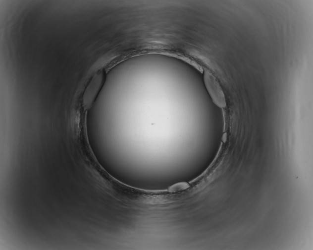 X0000089361402200706150814