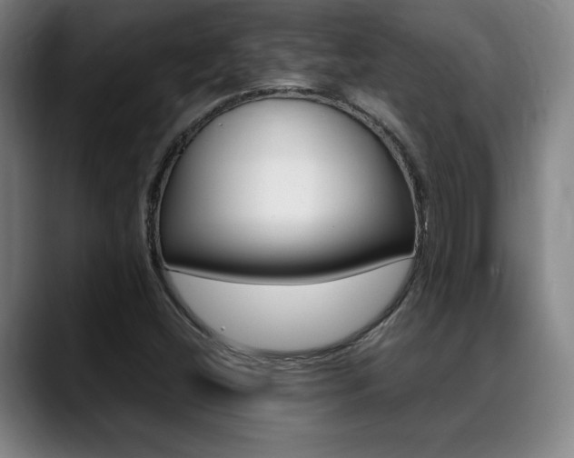 X0000089361404200706150814