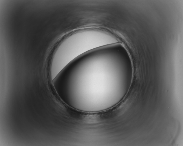 X0000089361406200706150814