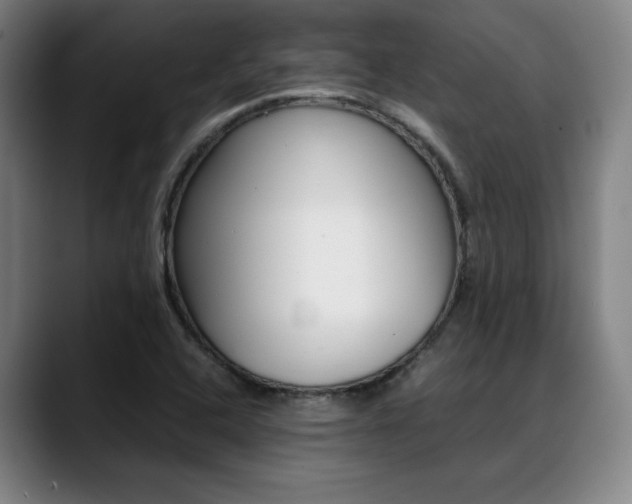X0000089361408200706150814