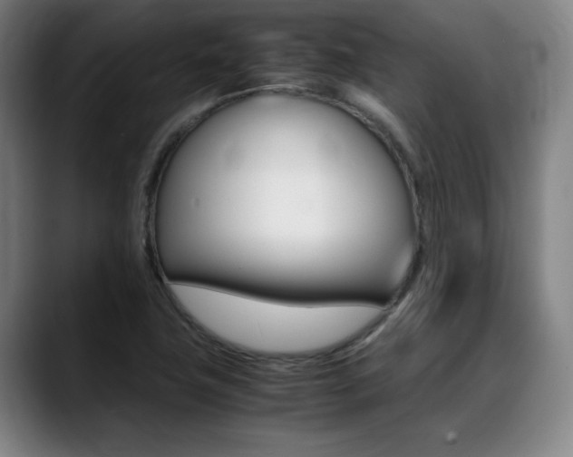 X0000089361411200706150814