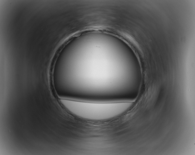 X0000089361412200706150814