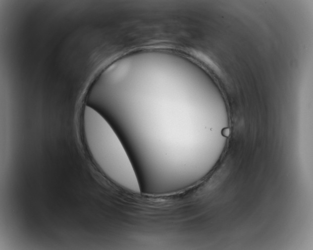 X0000089361413200706150814