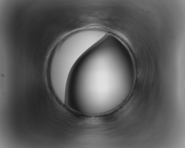 X0000089361414200706150814