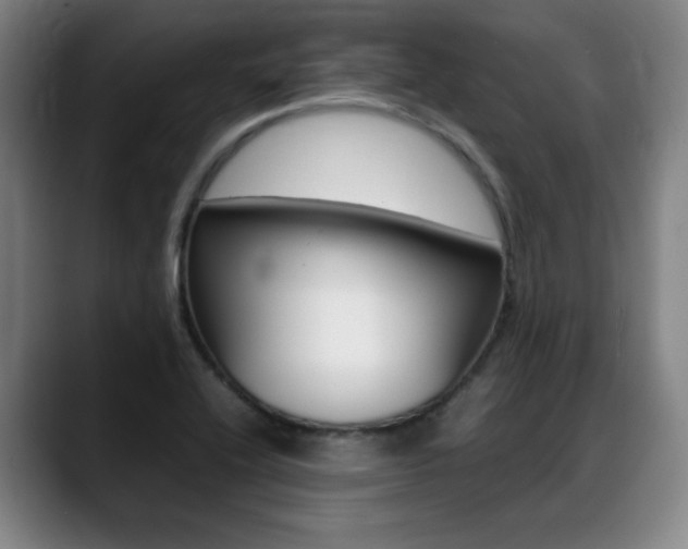 X0000089361416200706150814