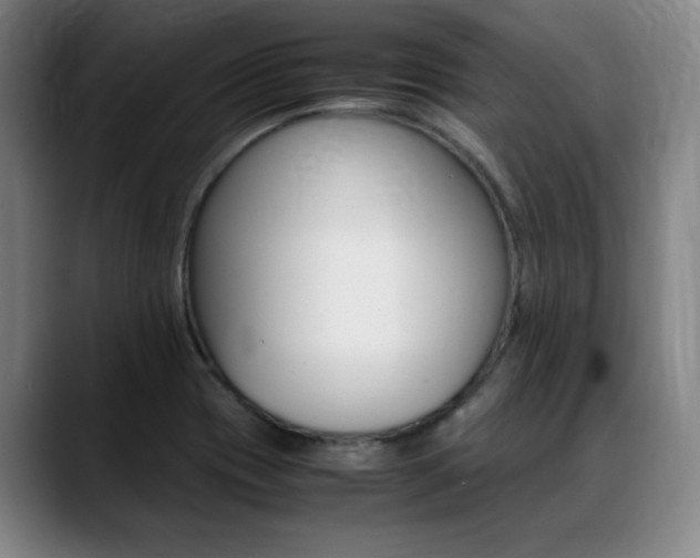 X0000089361417200706150814