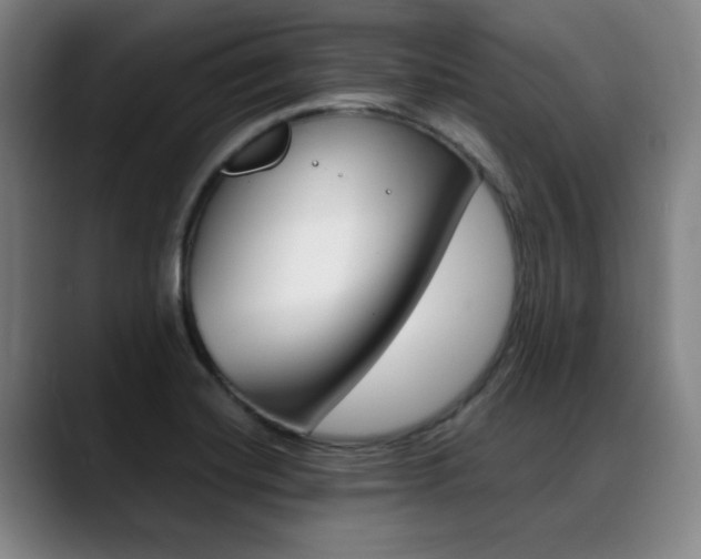 X0000089361420200706150814