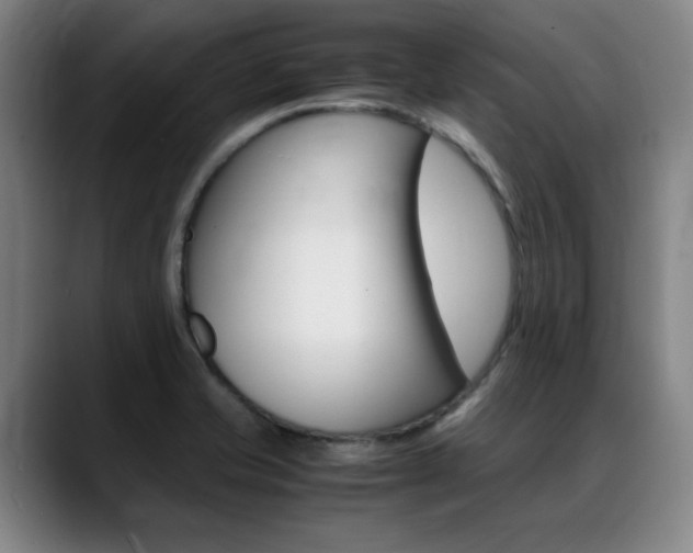 X0000089361421200706150814