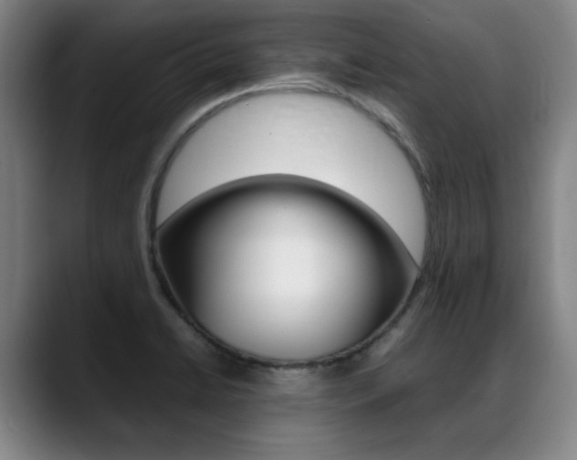 X0000089361422200706150814