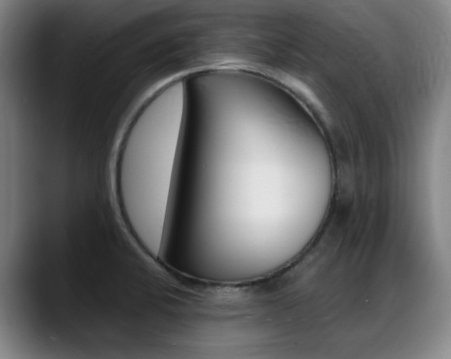 X0000089361424200706150814