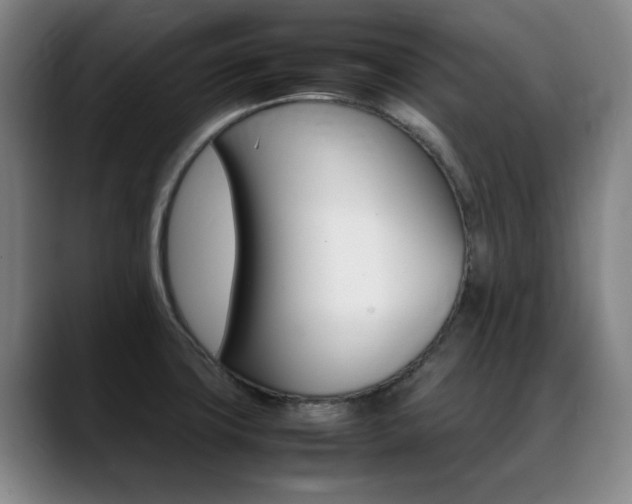 X0000089361427200706150814