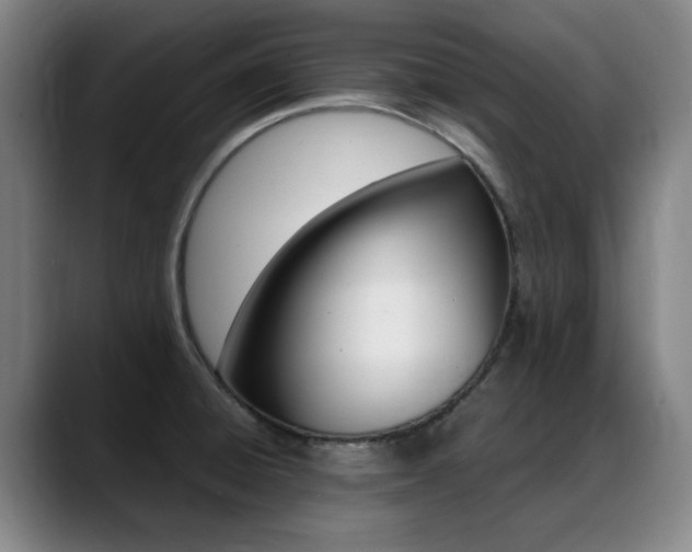 X0000089361428200706150814