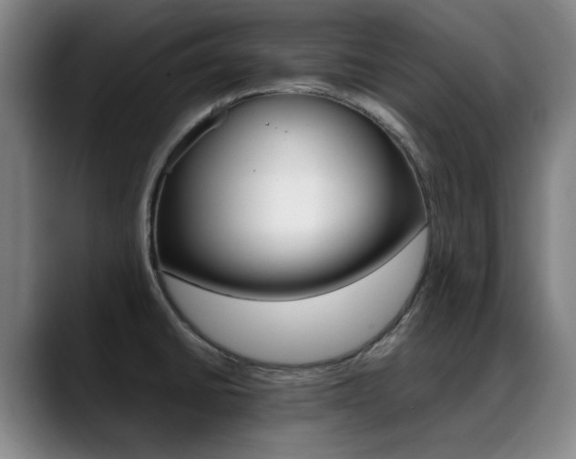 X0000089361430200706150814
