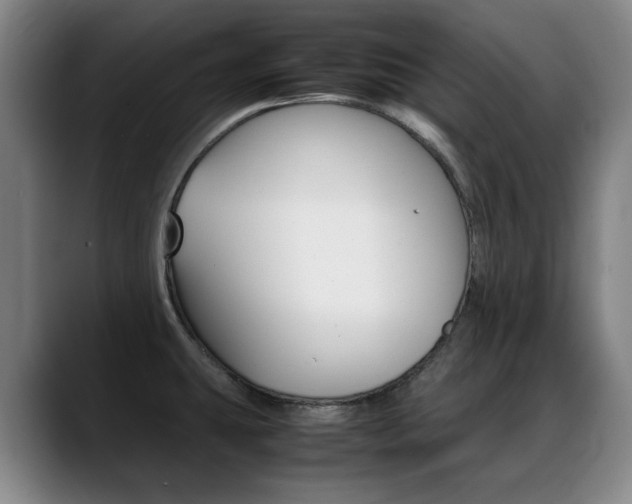 X0000089361431200706150814