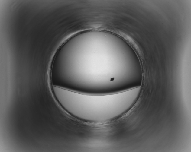 X0000089361432200706150814